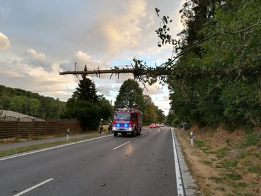 News: LZ-Odenthal Nord: Baum auf Strasse Odenthal-Menrath